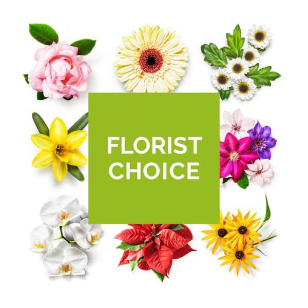 Florist Choice Absolutely Fabulous Flowers Trowbridge