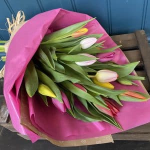 Tulips, Absolutely Fabulous Flowers, Trowbridge